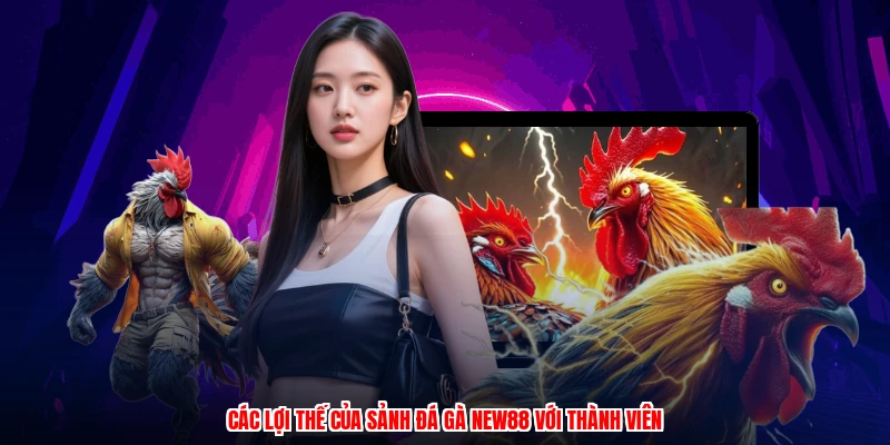 Các lợi thế của sảnh đá gà NEW88 với thành viên