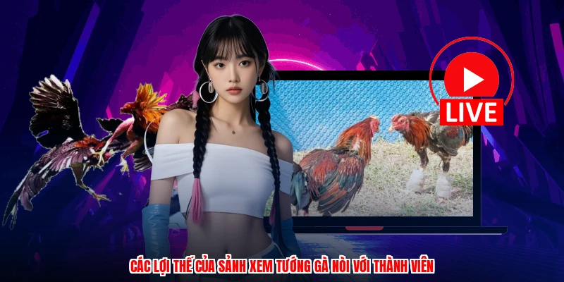 Các lợi thế của sảnh xem tướng gà nòi với thành viên