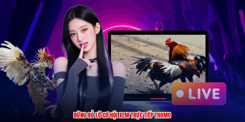 Đừng bỏ lỡ cơ hội xem trực tiếp thomo