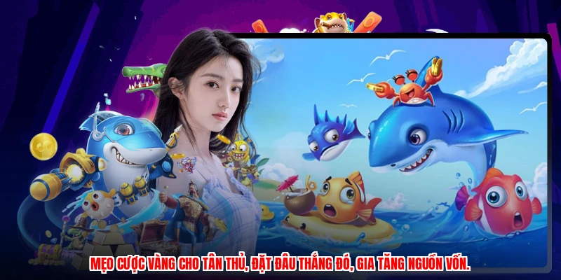 Mẹo cược vàng cho tân thủ, đặt đâu thắng đó, gia tăng nguồn vốn.