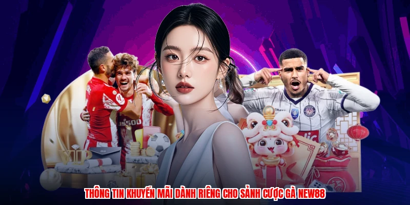 Thông tin khuyến mãi dành riêng cho sảnh cược gà NEW88