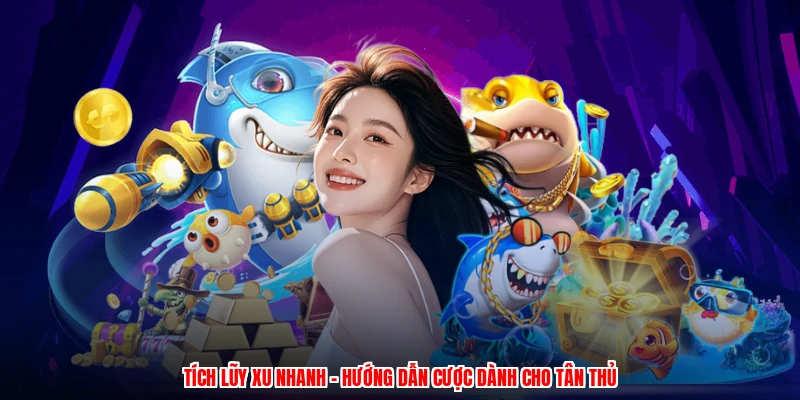 Tích Lũy Xu Nhanh - Hướng Dẫn Cược Dành Cho Tân Thủ