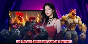 Xem Tướng Gà Nòi Chuẩn Nhất Cùng Chuyên Gia Tại NEW88 Ngay