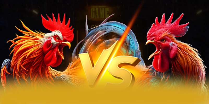 GOOD88 - Cổng cá cược uy tín số 1 Việt Nam