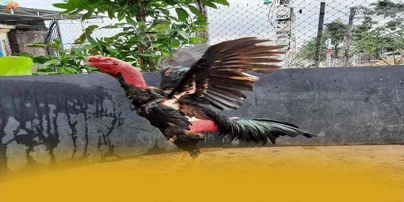 Cùng trải nghiệm 8XBET - Sân chơi chất lượng tại Việt Nam Cùng trải nghiệm 8XBET - Sân chơi chất lượng tại Việt Nam
